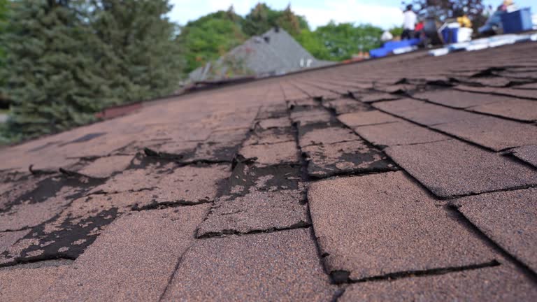 Best Roof Ventilation Installation  in , RI